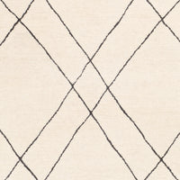 Surya Sinop Snp-2304 Black, Cream Area Rug