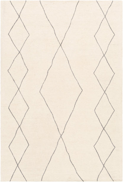 Surya Sinop Snp-2306 Charcoal, Cream Area Rug