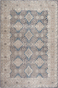 Safavieh Sofia Sof366B Light Grey / Beige Area Rug