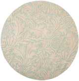 Safavieh Soho Soh255A Light Blue / Beige Rugs.