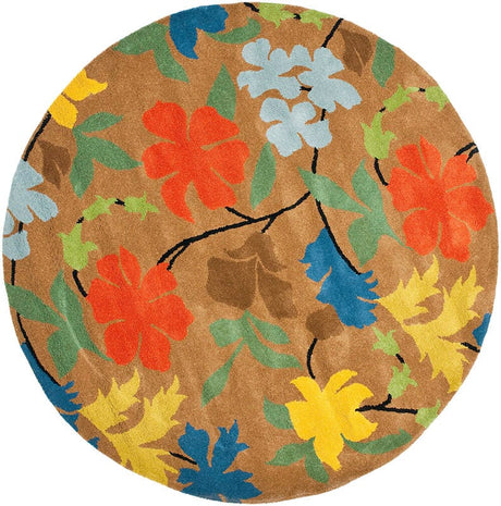 Safavieh Soho Soh737A Brown / Multi Rugs.
