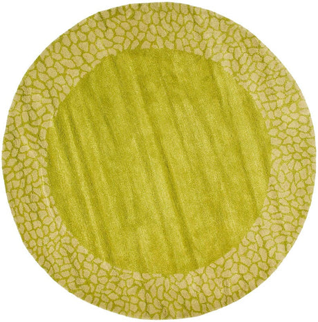 Safavieh Soho Soh739C Green / Light Rugs.