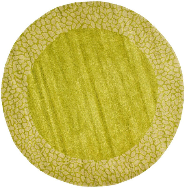 Safavieh Soho Soh739C Green / Light Rugs.