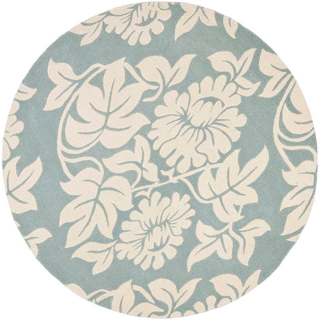 Safavieh Soho Soh770A Blue / Ivory Rugs.