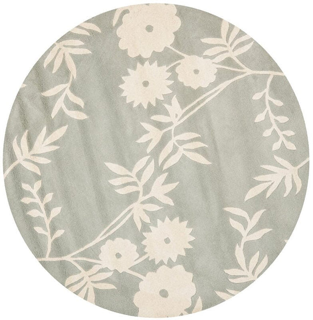 Safavieh Soho Soh774C Grey / Ivory Rugs.