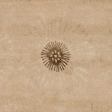 Safavieh Soho soh821a Beige / Brown Rugs.