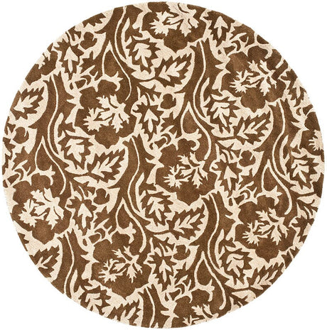 Safavieh Soho Soh844A Brown / Ivory Rugs.