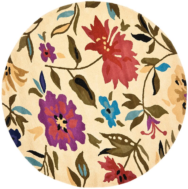 Safavieh Soho Soh854A Ivory / Multi Rugs.