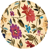 Safavieh Soho Soh854A Ivory / Multi Rugs.