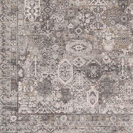 Surya Solar Sor-2313 Medium Gray, Light Gray, Ivory, Charcoal Rugs.