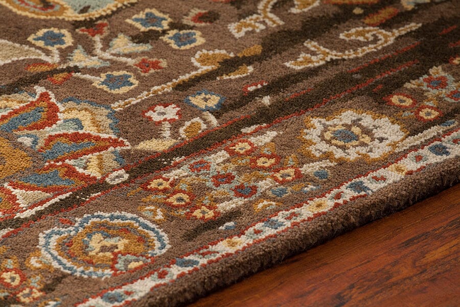 Chandra Spring Spr-29103 Brown Vintage / Distressed Area Rug