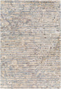 Surya Seda Ssd-2302 Charcoal, Medium Gray, Light Gray, Taupe Rugs.