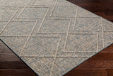 Surya Sarasota Sso-2302 Blue, Tan Rug.