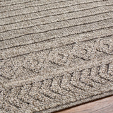 Surya Sarasota Sso-2303 Tan, Black Rug.