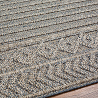 Surya Sarasota Sso-2304 Blue, Tan Area Rug