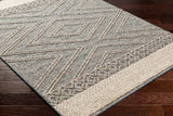 Surya Sarasota Sso-2305 Blue, Taupe Rug.