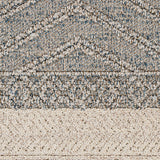 Surya Sarasota Sso-2305 Blue, Taupe Rug.