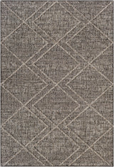 Surya Sarasota Sso-2306 Tan, Black Rug.