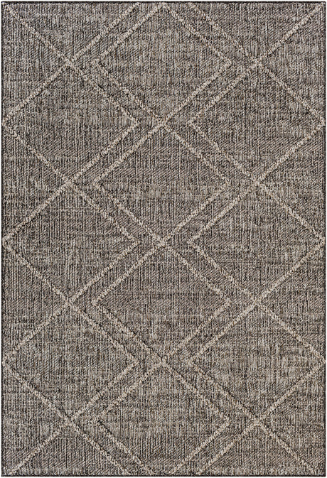 Surya Sarasota Sso-2306 Tan, Black Rug.