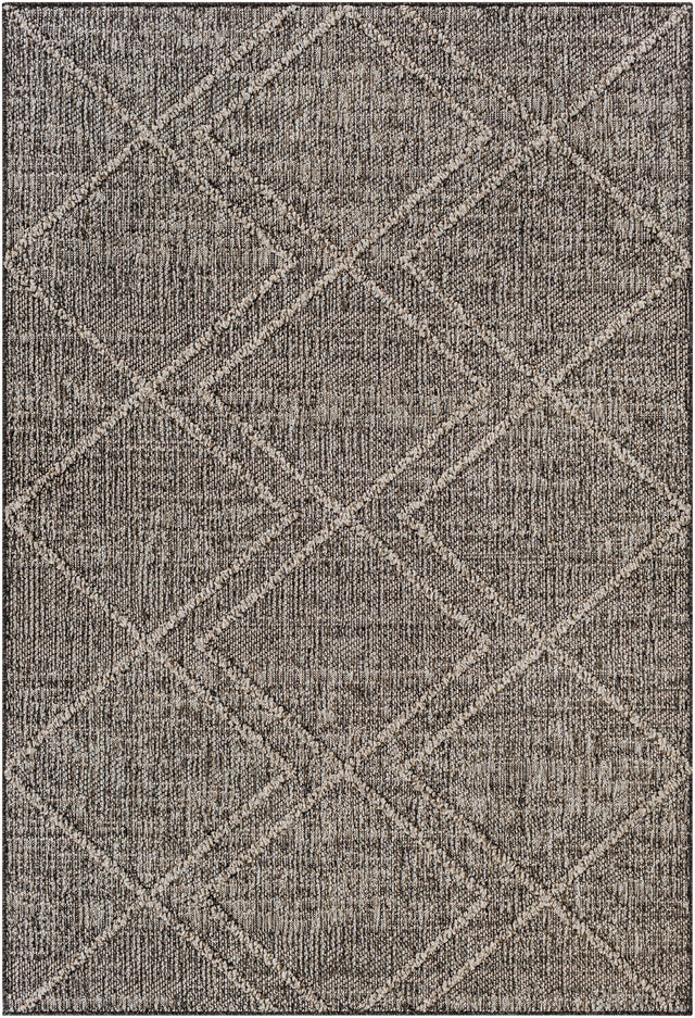 Surya Sarasota Sso-2306 Tan, Black Rug.