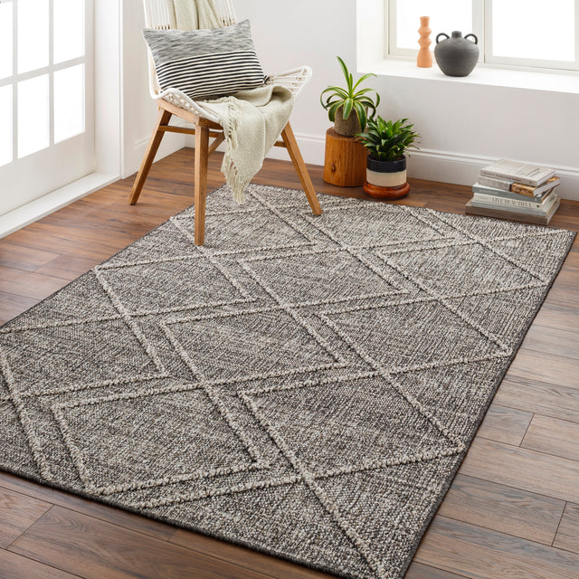 Surya Sarasota Sso-2306 Tan, Black Rug.