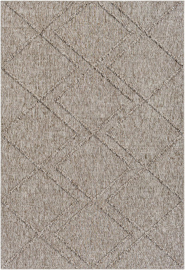 Surya Sarasota Sso-2307 Taupe, Tan Rug.