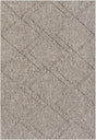 Surya Sarasota Sso-2307 Taupe, Tan Rug.