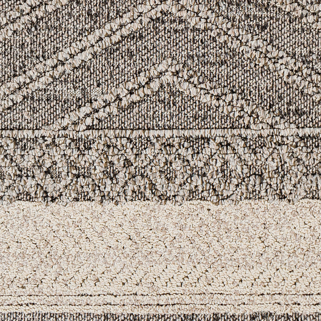 Surya Sarasota Sso-2309 Tan, Black Rug.