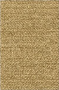 Chandra Strata str-1160 Beige Shag Area Rug