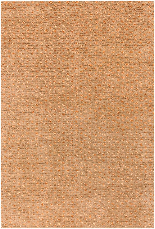 Chandra Strata Str1202 Tan / Gold Area Rug