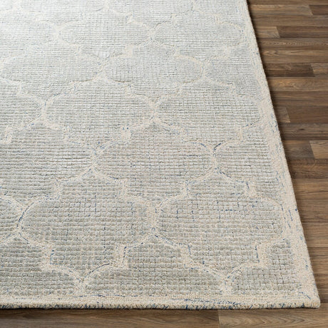 Surya Starlit Str-2306 Light Gray, Denim, Cream Rugs.