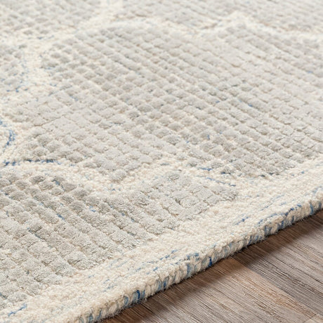 Surya Starlit Str-2306 Light Gray, Denim, Cream Rugs.