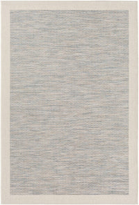 Surya Santa Cruz Stz-6000 Bright Blue, Taupe, Cream Bordered Area Rug