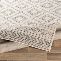 Surya Sunderland Sun-2301 Light Gray, White, Medium Gray Moroccan Area Rug