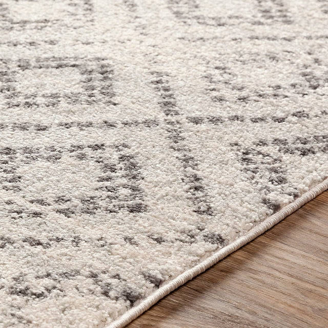 Surya Sunderland Sun-2301 Light Gray, White, Medium Gray Rugs.