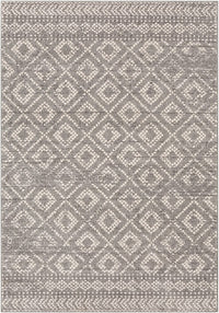 Surya Sunderland Sun-2302 Medium Gray, Light Gray, White Moroccan Area Rug