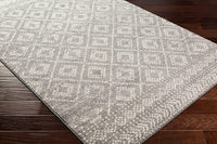 Surya Sunderland Sun-2302 Medium Gray, Light Gray, White Moroccan Area Rug