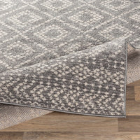 Surya Sunderland Sun-2302 Medium Gray, Light Gray, White Moroccan Area Rug