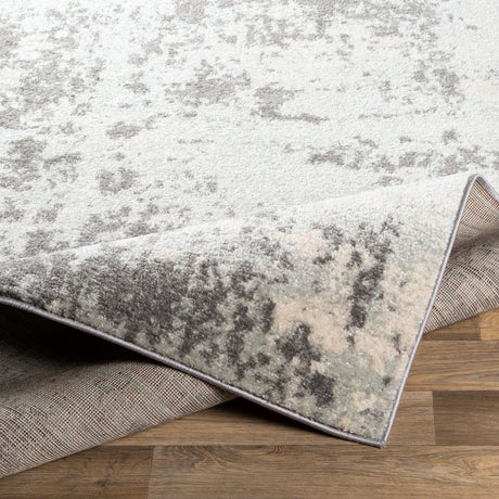 Surya Sunderland Sun-2318 Charcoal, Gray Rug.