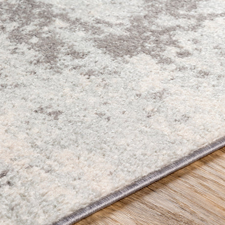 Surya Sunderland Sun-2318 Charcoal, Gray Rug.