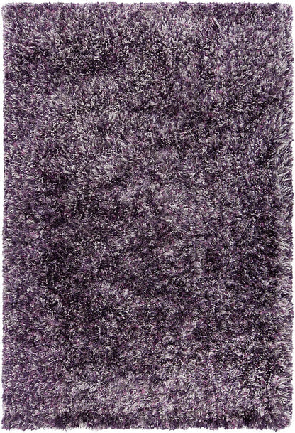 Chandra Supros Sup36701 Purple Multi Shag Area Rug