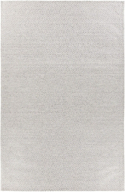 Chandra Tasha Tas37300 Grey Area Rug