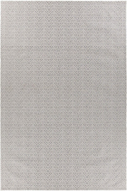 Chandra Tasha Tas37301 Grey Area Rug