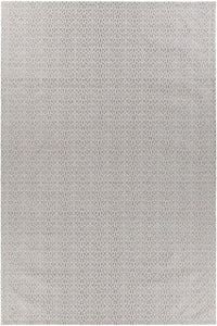 Chandra Tasha Tas37301 Grey Area Rug