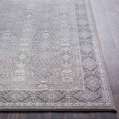 Surya Tibetan Tbt-2311 Taupe, Medium Gray, Ivory Vintage / Distressed Area Rug