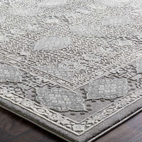 Surya Tibetan Tbt-2311 Taupe, Medium Gray, Ivory Vintage / Distressed Area Rug