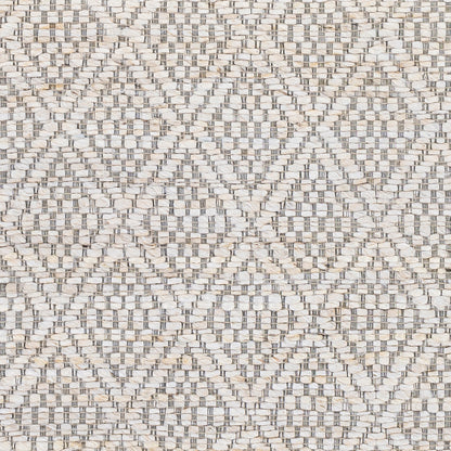 Surya Trace Tce-2301 Cream, Medium Gray Area Rug