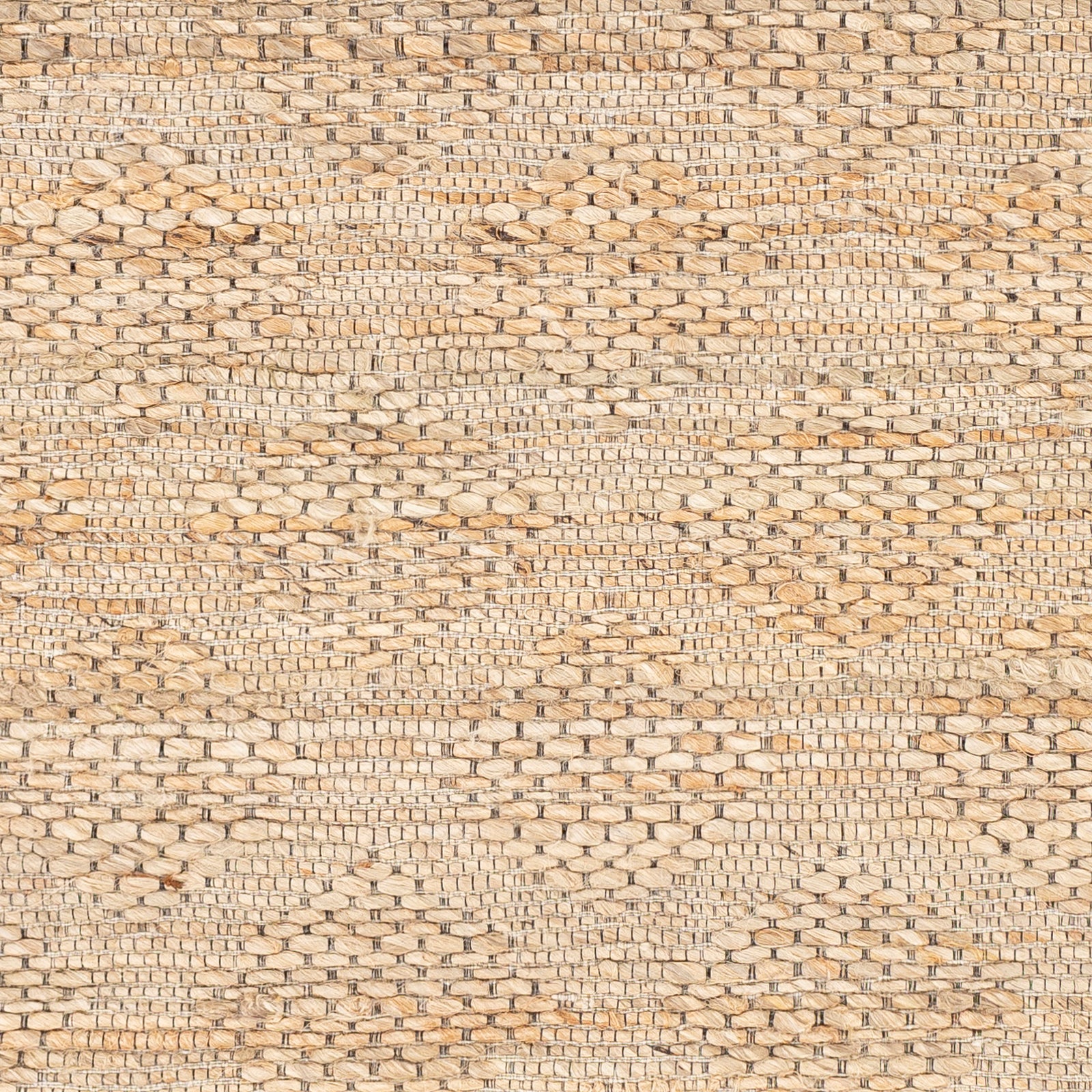 Surya Trace Tce-2303 Wheat, Camel Area Rug