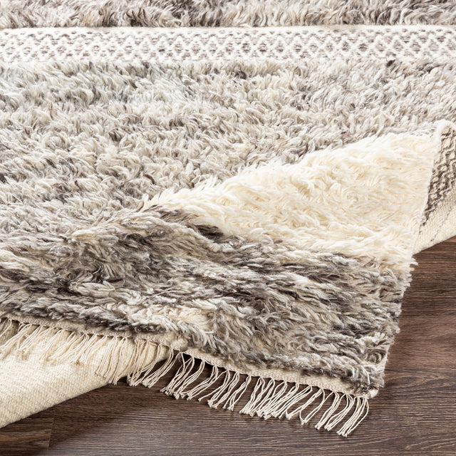 Surya Tulum Tmu-2302 Cream, Medium Gray, Taupe, Dark Brown Rugs.