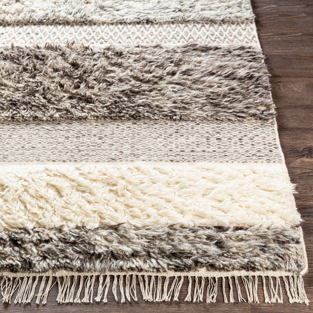 Surya Tulum Tmu-2302 Cream, Medium Gray, Taupe, Dark Brown Rugs.